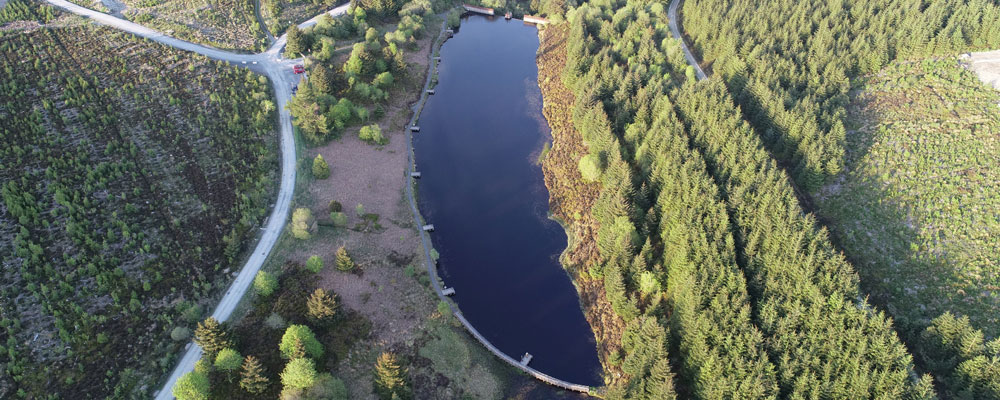 Aerial photography of forest and lake area