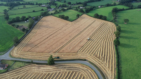 Aerial photography of farm land